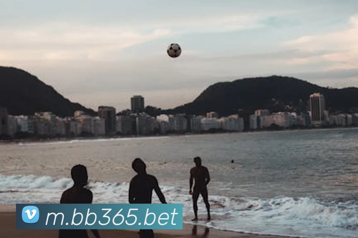 bet365中国服务体系